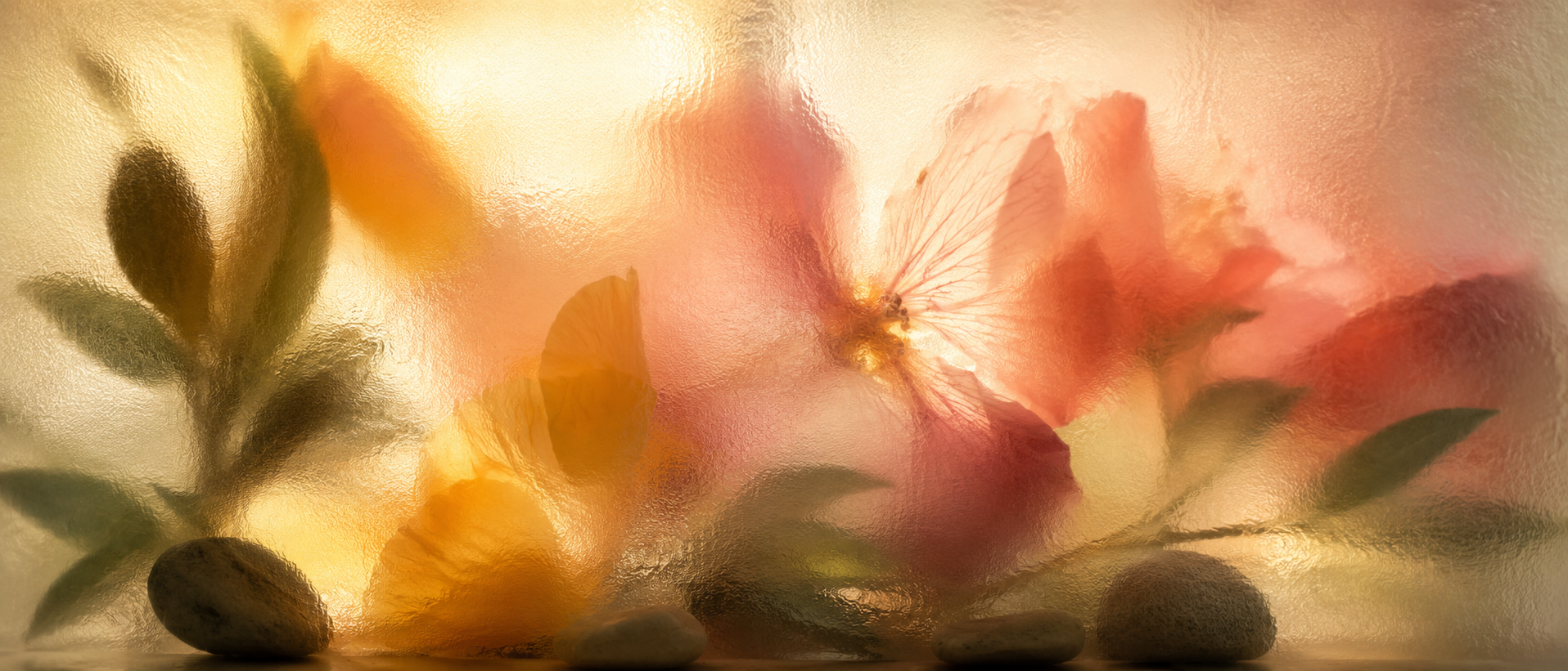 An abstract still life of plants and stones behind textured glass, with spectral wavelength annotations on hover.